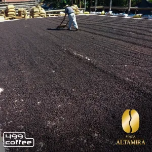 Kawa speciality El Salvador Altamira 499g wypał 2026.06.25