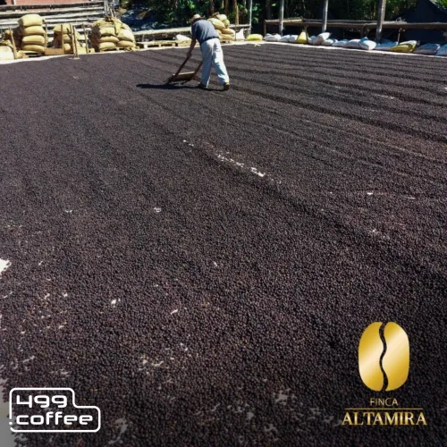 El Salvador Finca Altamira.png