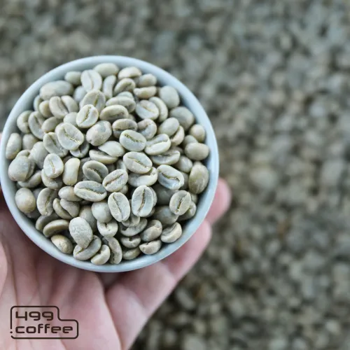 Honduras Las Delicias (from Canva).png